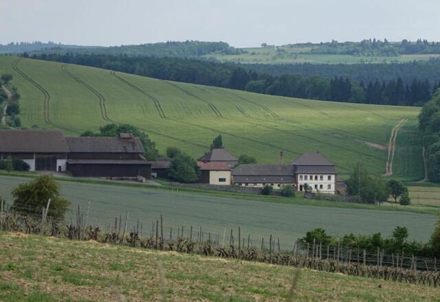 Schafhof
