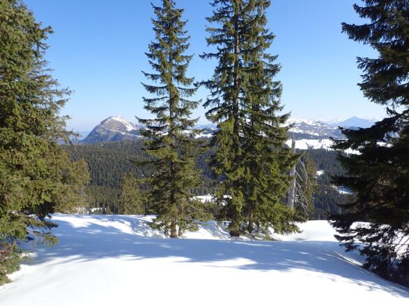 Am Astegg, links das Wieslerhorn