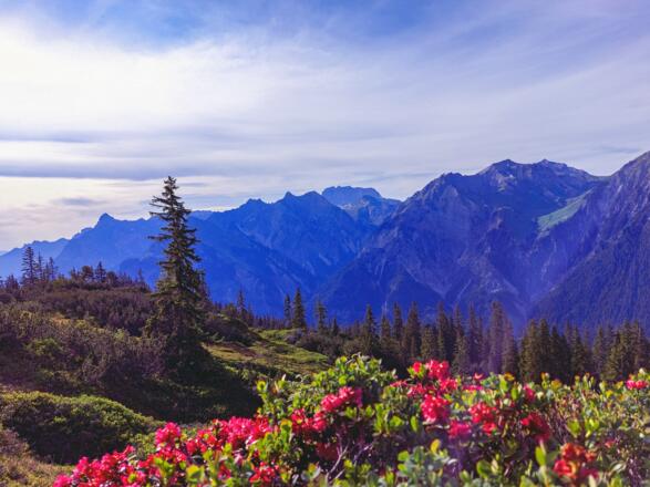 Ausblick am Sonnenkopf Richtung Rote Wand