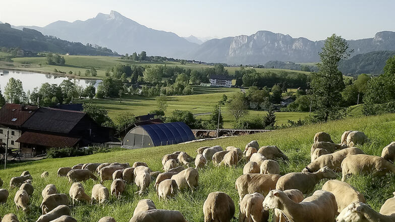 Landschaft