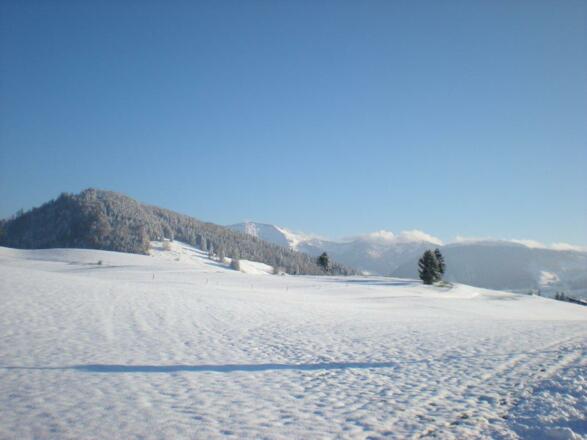 Winterlandschaft