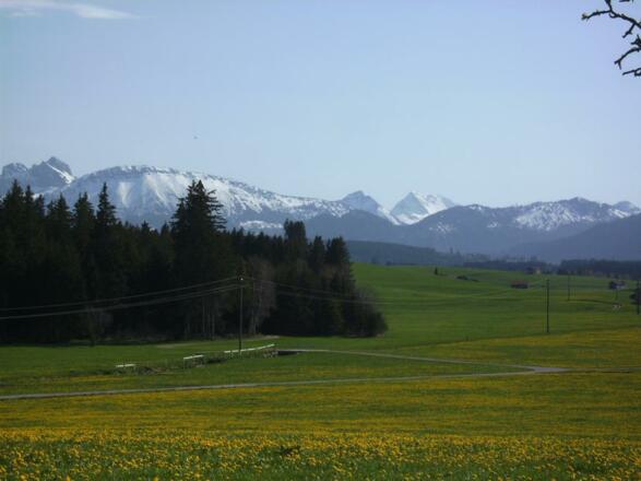 Frühling