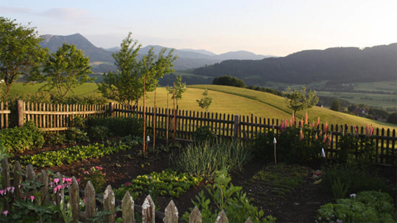 Landschaft