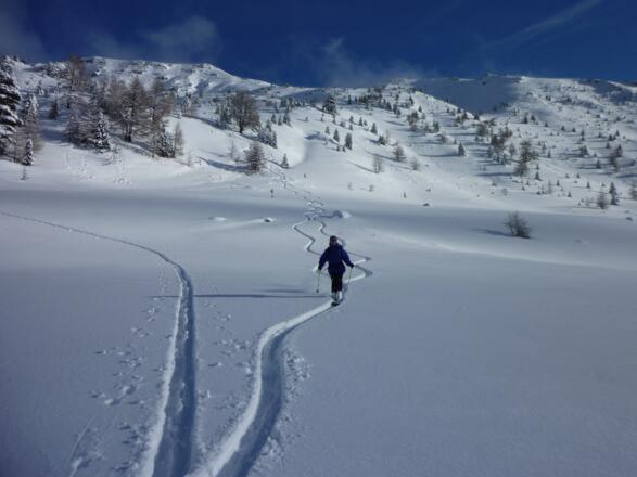 Auslauf im Rosanintal