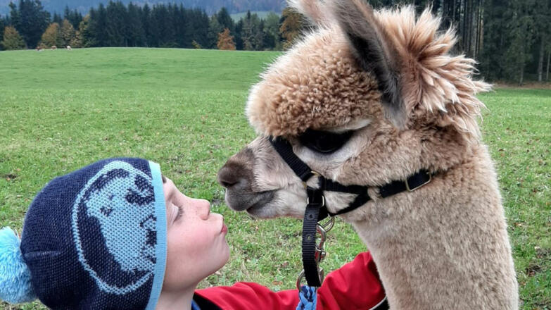 Alpakahof Edinger