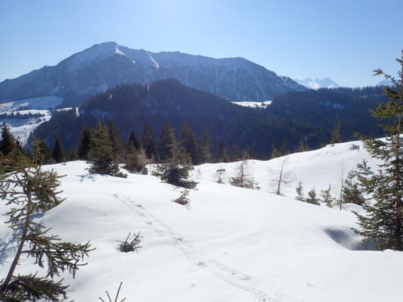Am Südostrücken, im Hintergrund Braunedlkogel