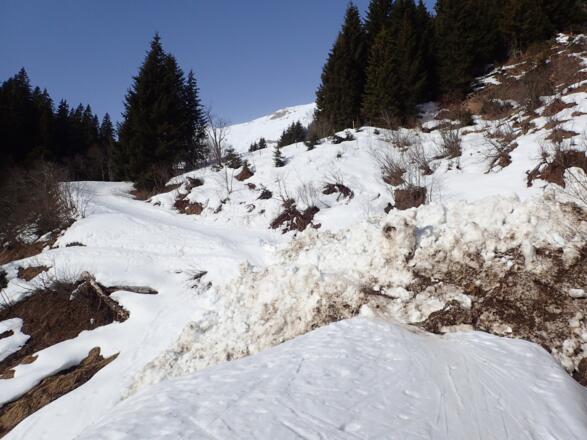 Kleine Grundlawine am Weg im Lafenbachtal