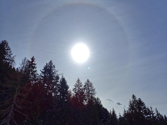 Halo