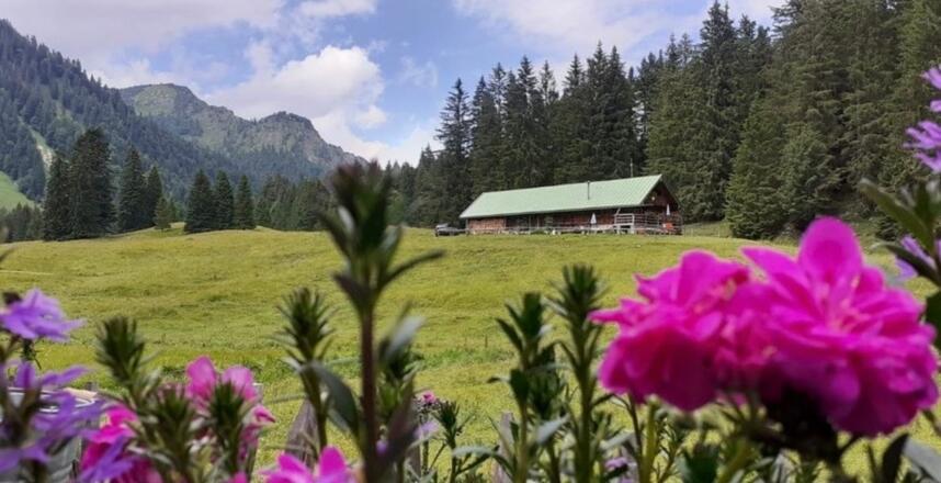 Hauseigene Alm Schwarzetenn