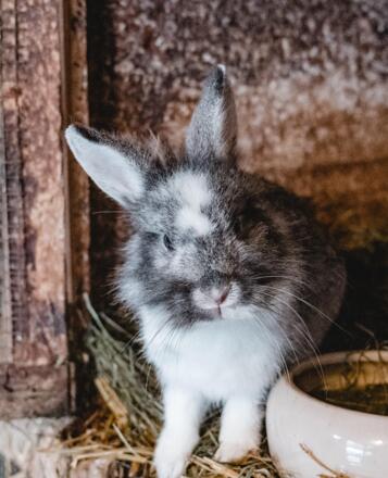 Martin_aschulz (308 von 325)