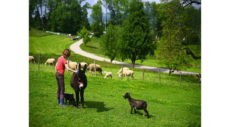 Weberhof