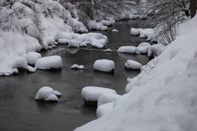 Bachlauf am Wanderweg