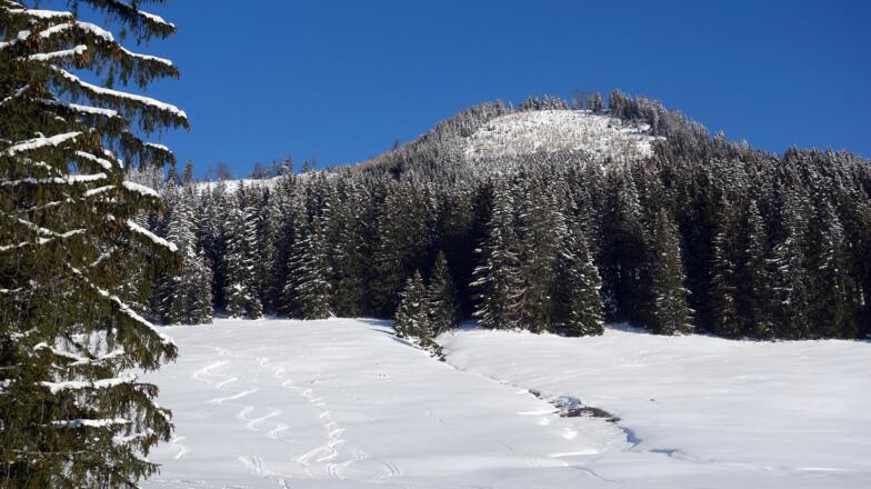 Ostgipfel von der Kreuzau 1062m gesehen
