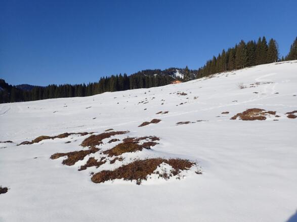 Aufstieg links der beiden Skilifte