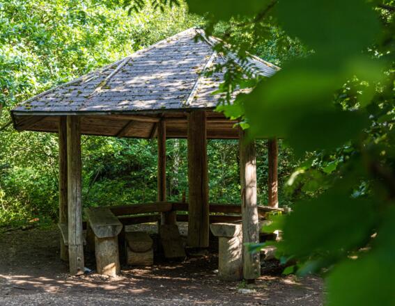 Rastplatz mit Pavillon im Rothschwaiger Forst