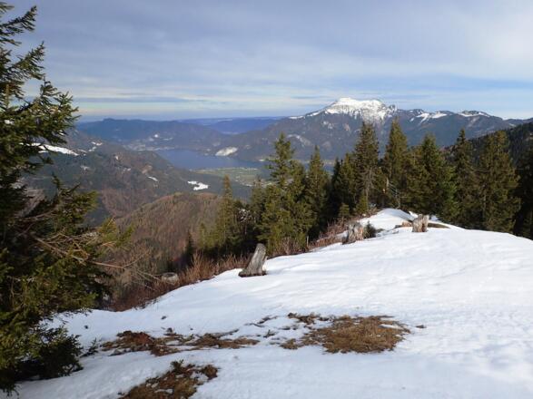 Ausblick zum Wolfgangsee und Schafberg vom Windkogel