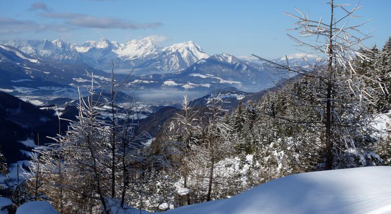 Blick zur Spitzmauer und Prielkamm