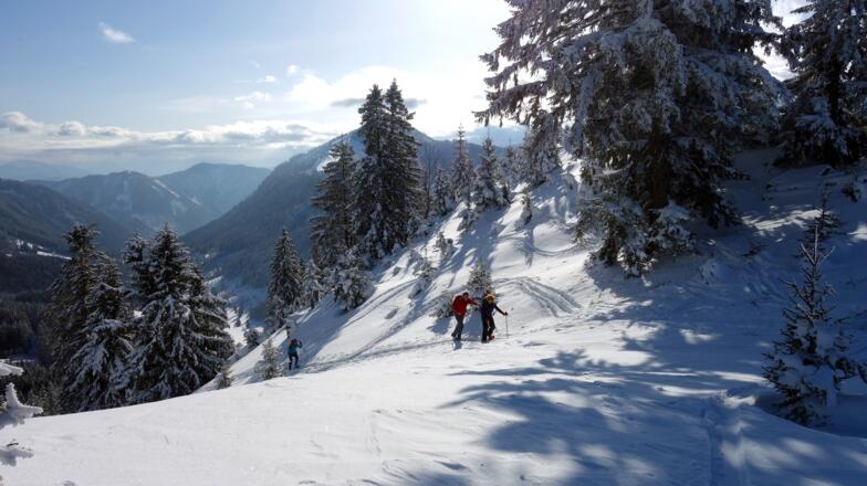 Vor dem Sattel 1330m