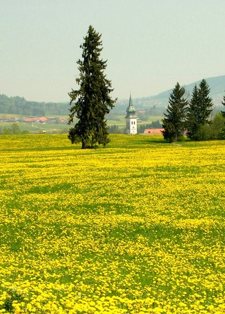 Rottenbuch vom Weg nach Wildsteig