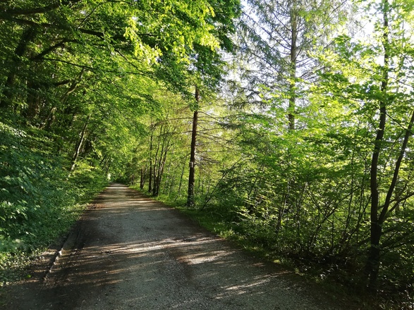 Idyllischer Weg am Inn