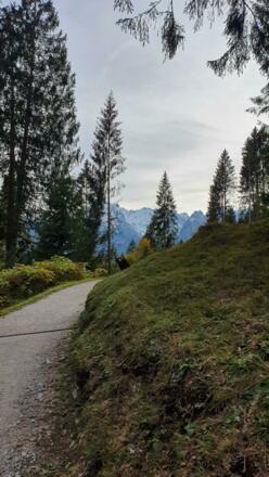 Kramerplateauweg, Blick auf die Berge