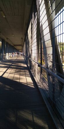 Großhesseloher Brücke