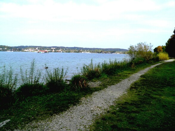 Blick auf Starnberg und See