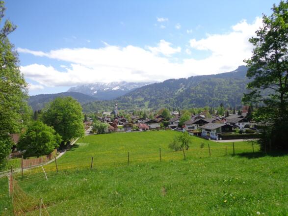 Der Rodelhang im Sommer