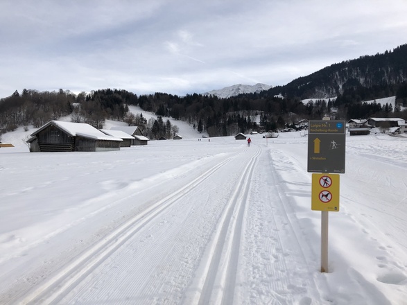 Blick auf die Kochelbergwiesen