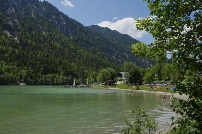 Plansee