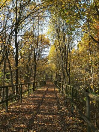 Eingang Forstenrieder Park