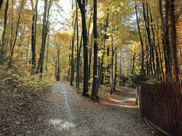 Weg zur Votivkapelle