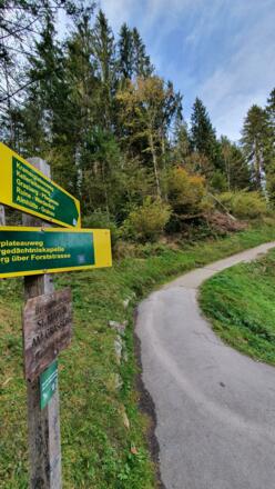 Kramerplateauweg, Abzweigung Richtung Almhütte