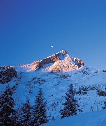 Blick auf die Alpspitze