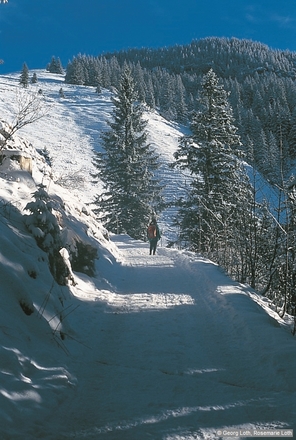 Kesselalm-Rodelbahn