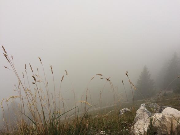 Die Fernsicht auf die Alpen ...