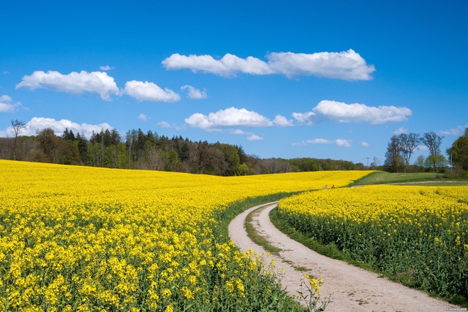 Unterwegs nach Leutstetten