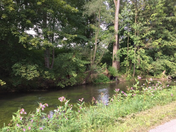 Freising Richtung Marzling entlang der Moosach