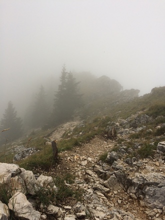 Vom Birkenstein auf Zustieg.