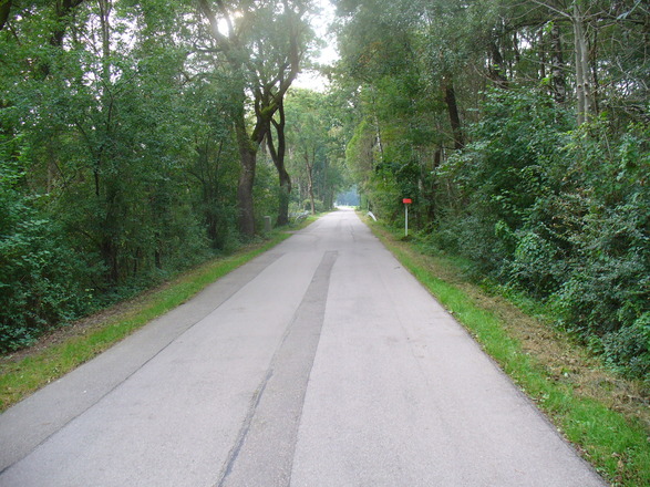 Brennermühlstraße in Eichenried-Süd