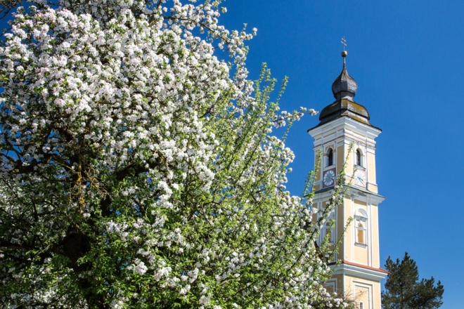 St. Vitus Itzling
