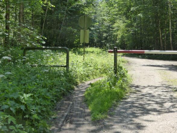 Radweg Mangfalltal Richtung Müller am Baum