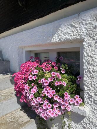 Gästehaus Nußbaumer