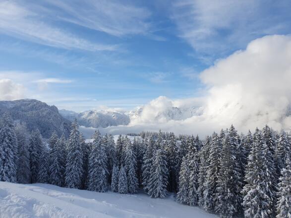 Winterbild_12