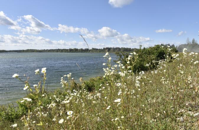 Erholungsgebiet Mandichosee