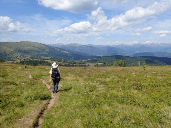 Abstieg zur Laußnitzeralm