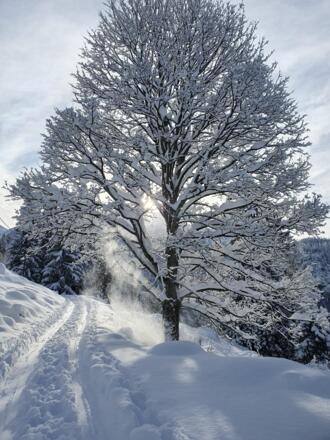 Winterbild_16