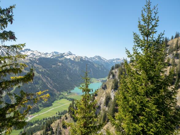 Ausblick