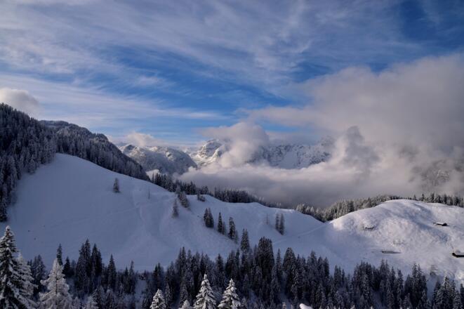 Winterbild_1