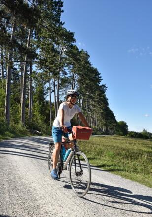 Radlerin im Augsburger Stadtwald
